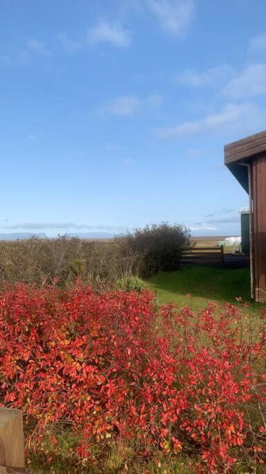 Fossar Villa Kirkjubæjarklaustur 외부 사진